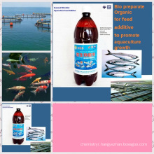 Algae Feed Additive Used for Aquaculture